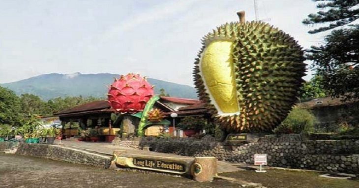 10 Rekomendasi Tempat Wisata bagi Pencinta Durian